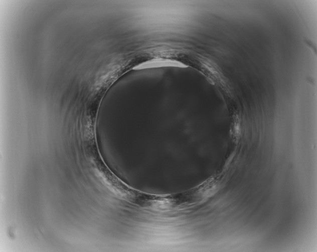 X0000100220411200805301351