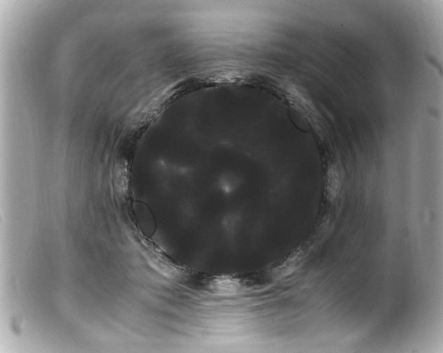 X0000100220413200805301351