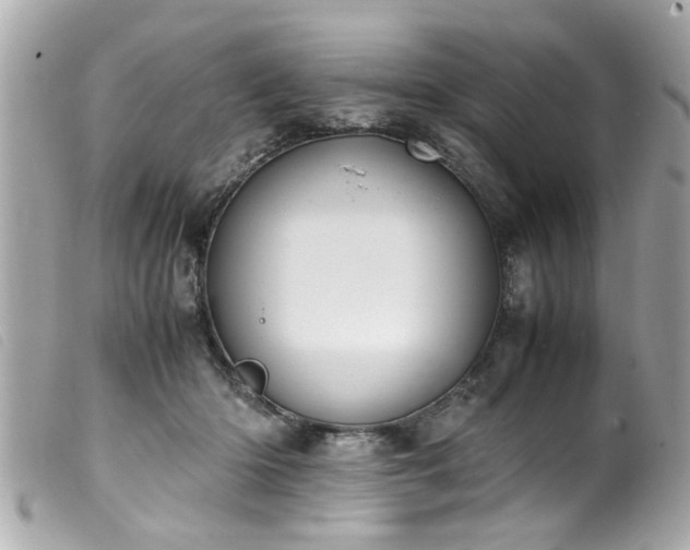 X0000100220414200805301351