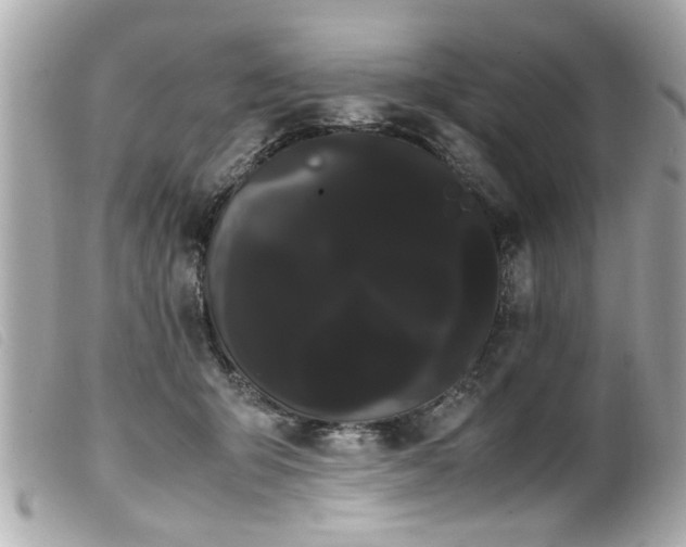 X0000100220415200805301351