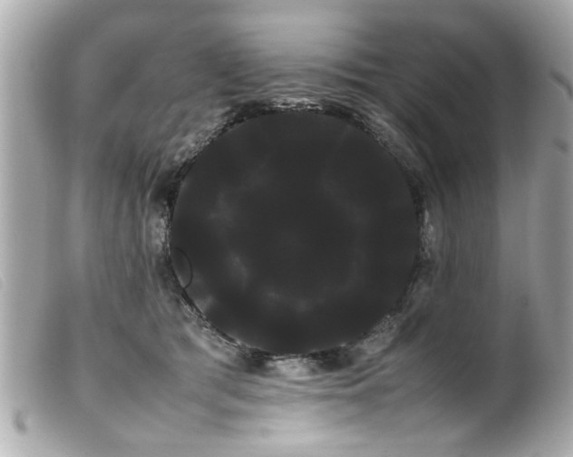 X0000100220417200805301351