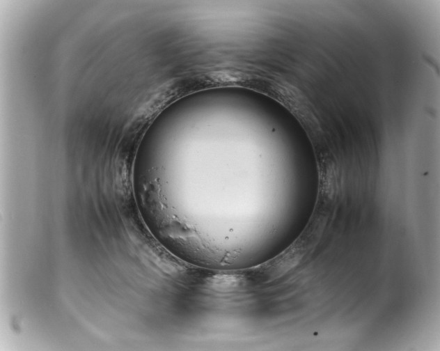 X0000100220418200805301351