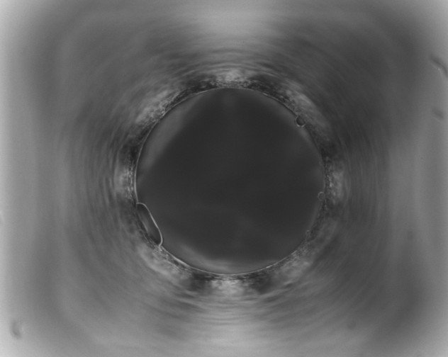 X0000100220419200805301351