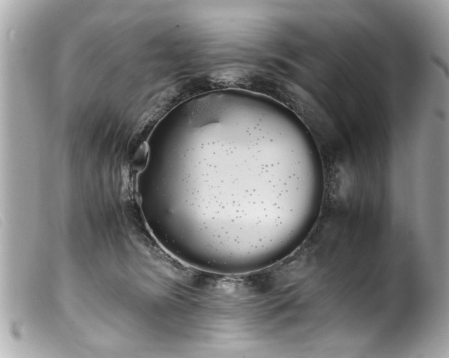 X0000100220420200805301351