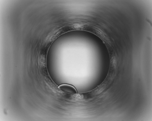 X0000100220421200805301351