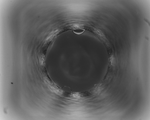 X0000100220423200805301351