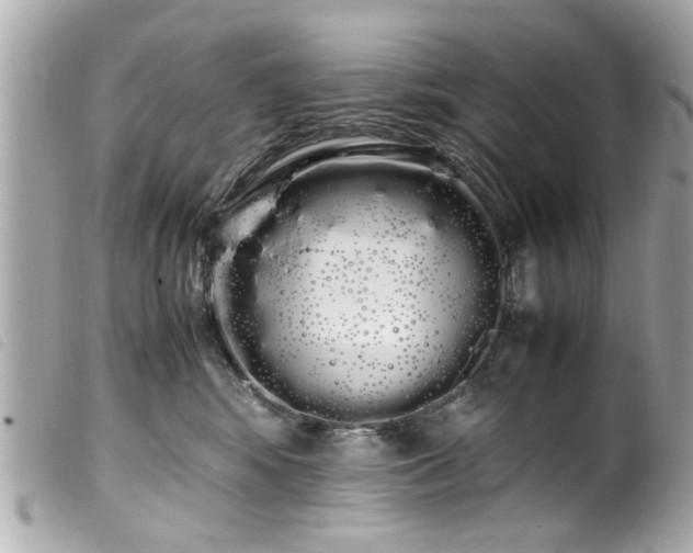 X0000100220424200805301351