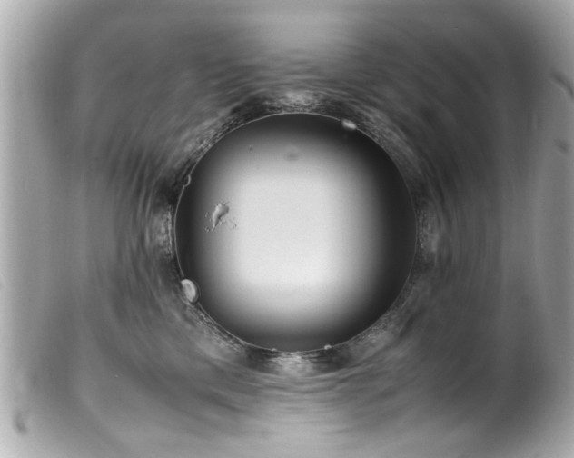 X0000100220425200805301351