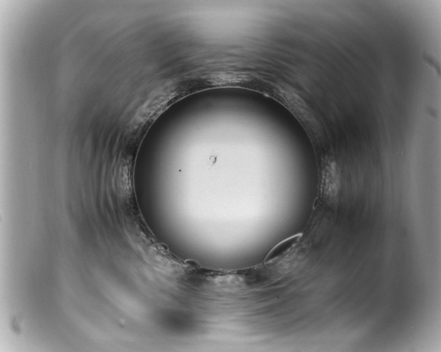 X0000100220426200805301351