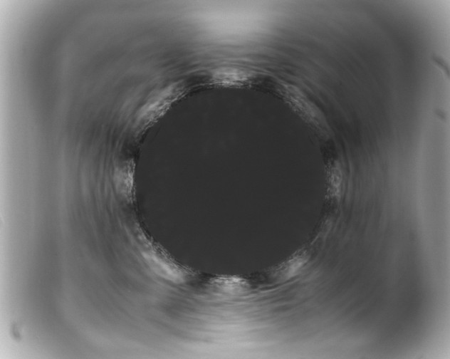 X0000100220427200805301351