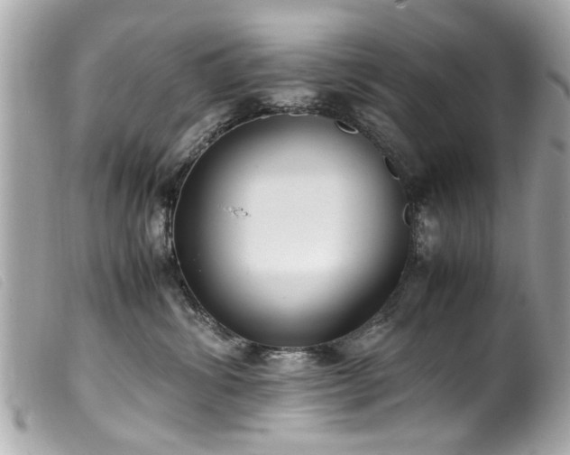 X0000100220428200805301350