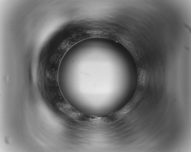 X0000100220430200805301350