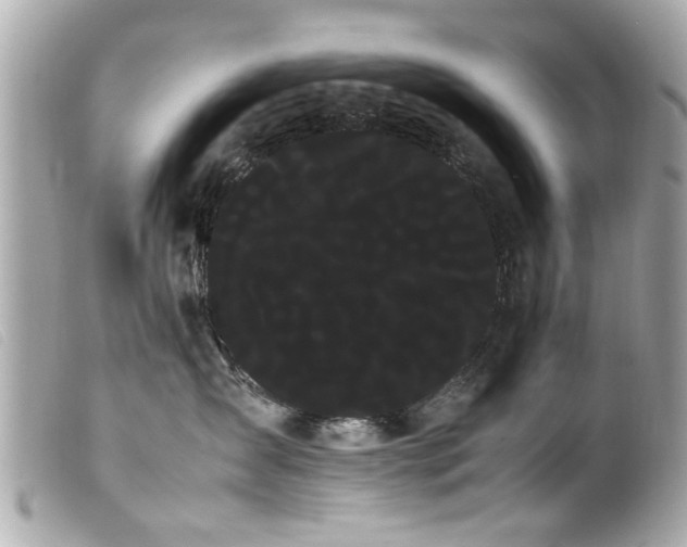 X0000100220431200805301350