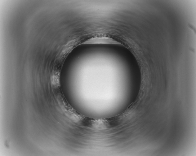 X0000100220432200805301350