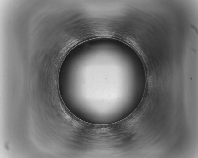 X0000100220433200805301350