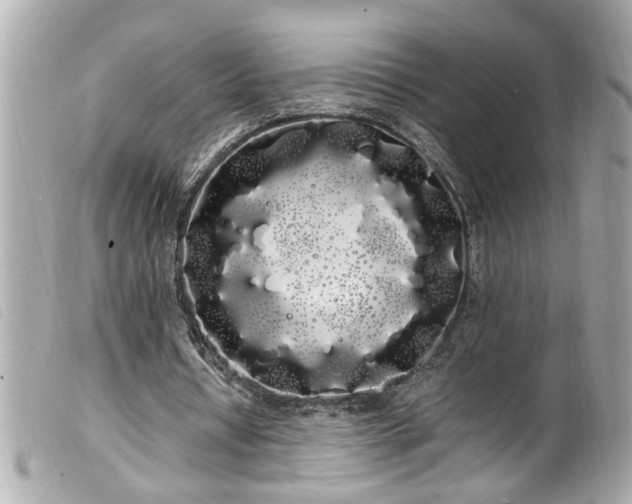 X0000100220434200805301350