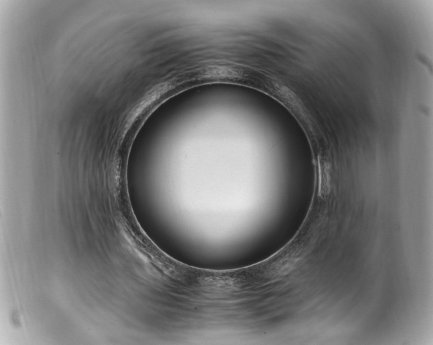 X0000100220435200805301350