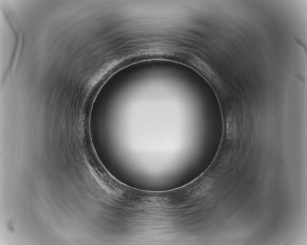 X0000100220436200805301350