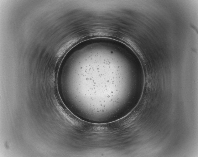 X0000100220437200805301350