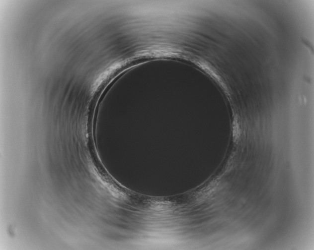 X0000100220438200805301350