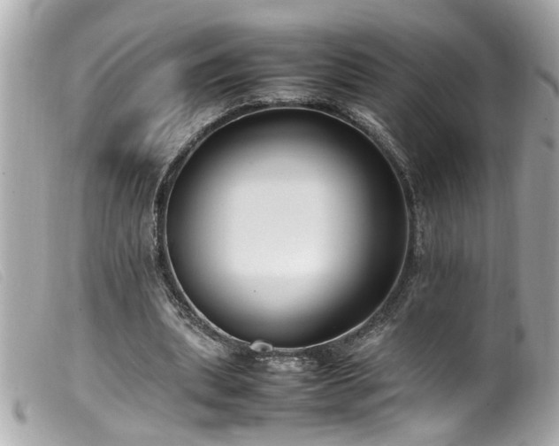 X0000100220439200805301350