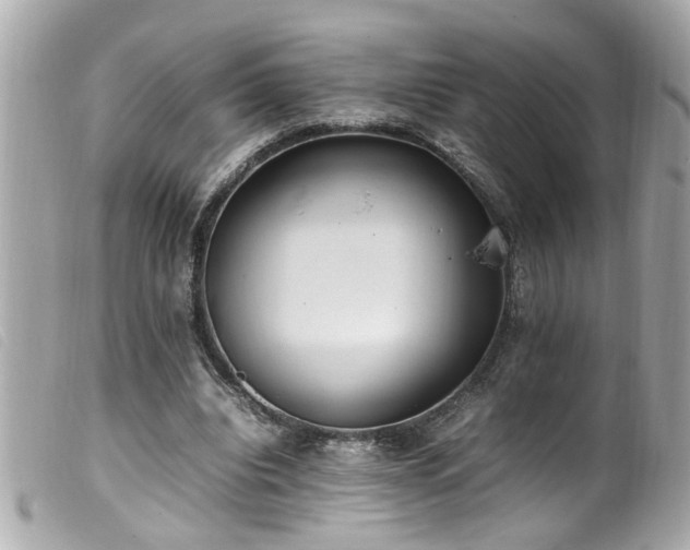 X0000100220440200805301350