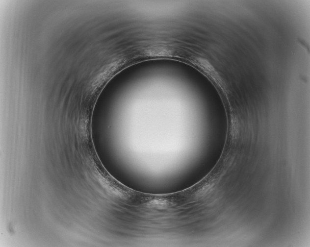 X0000100220441200805301350