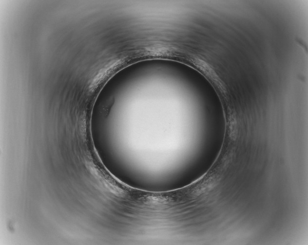 X0000100220442200805301350