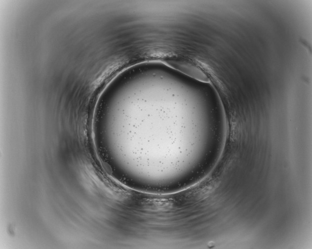 X0000100220443200805301350