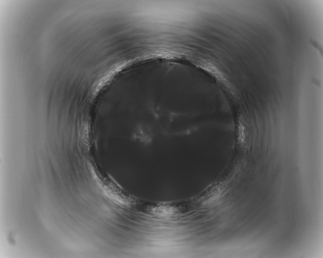 X0000100220444200805301350