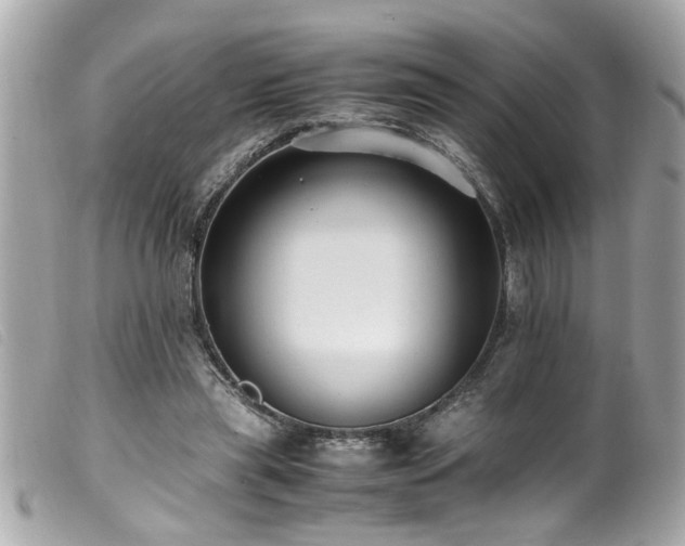 X0000100220445200805301350