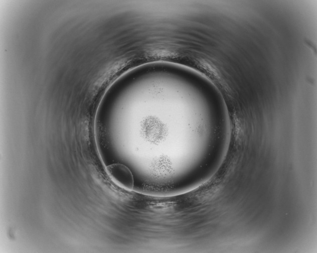 X0000100220447200805301350