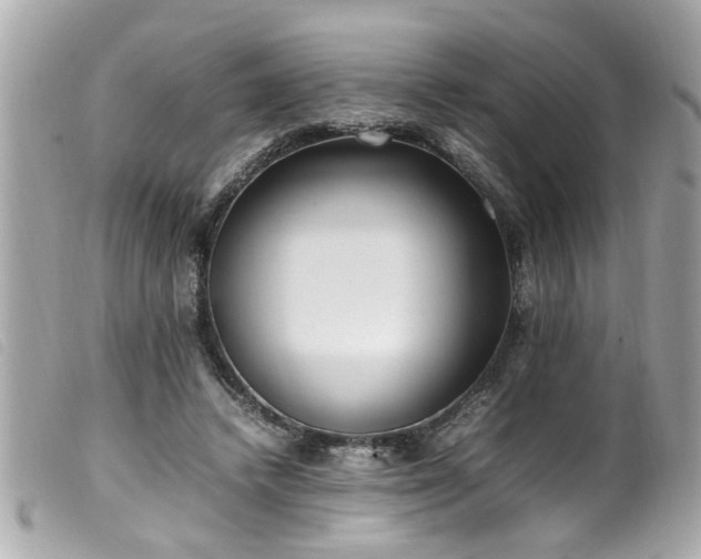 X0000100220448200805301350