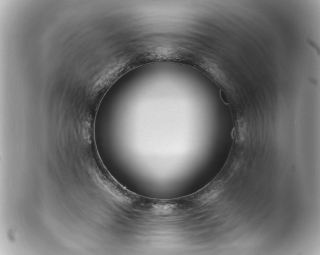 X0000100220450200805301350