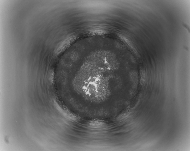 X0000100220451200805301350