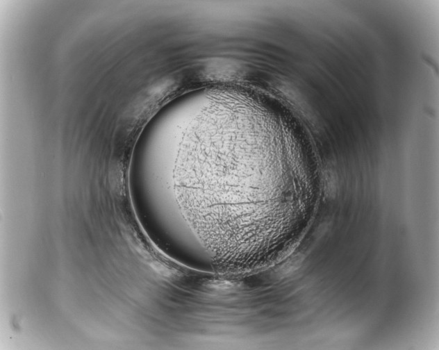 X0000100220453200805301350