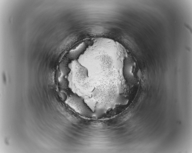 X0000100220454200805301350