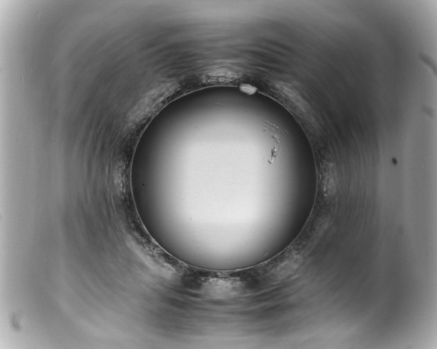 X0000100220455200805301350