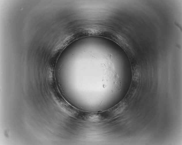 X0000100220456200805301350