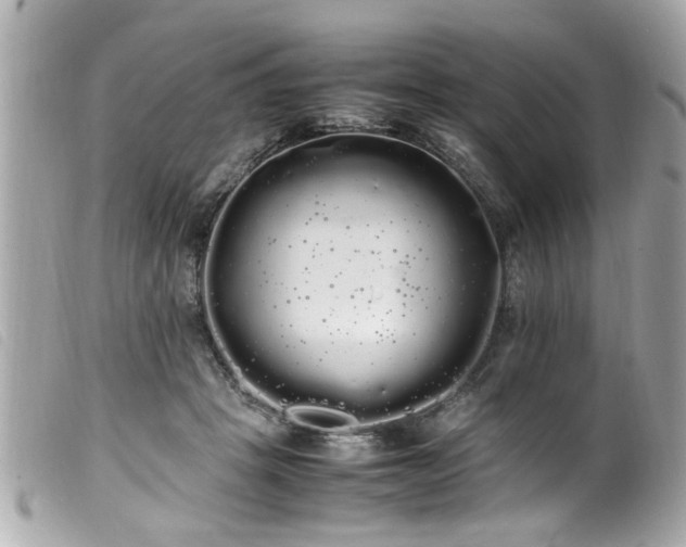 X0000100220457200805301350