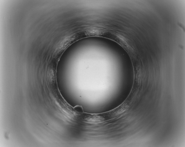 X0000100220459200805301350