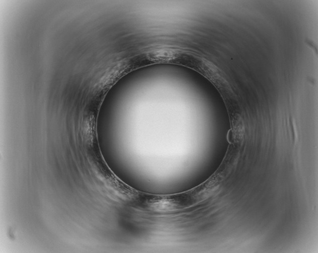 X0000100220460200805301350