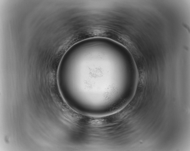 X0000100220461200805301350