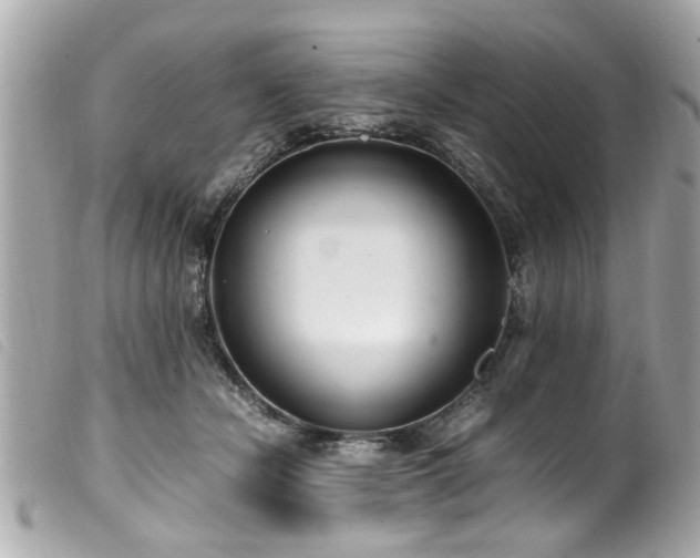 X0000100220462200805301350