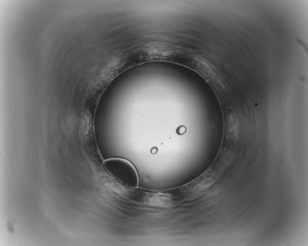 X0000100220463200805301350