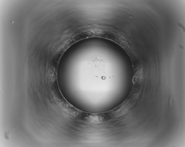 X0000100220464200805301350