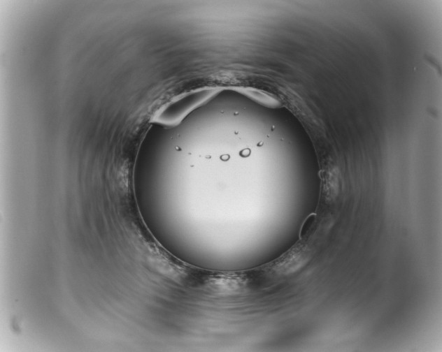 X0000100220466200805301350