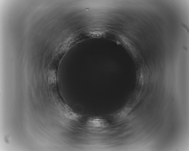 X0000100220467200805301350