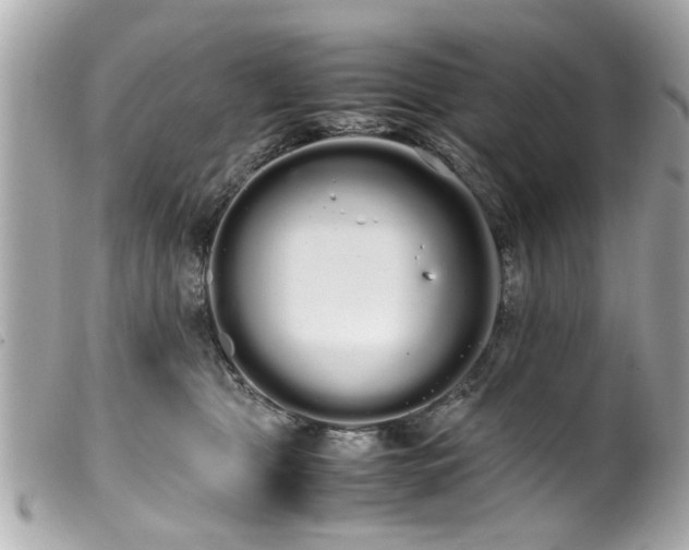 X0000100220469200805301350