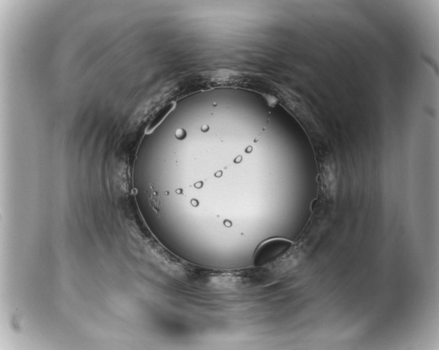 X0000100220470200805301350